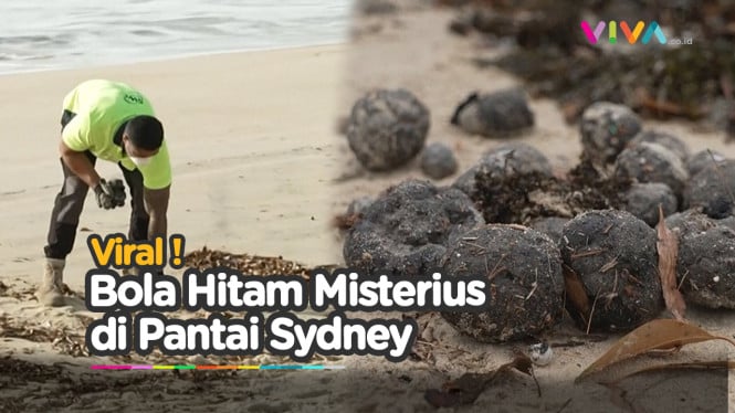 Misterius! Bola-Bola Hitam Menjamur di Pantai Sydney