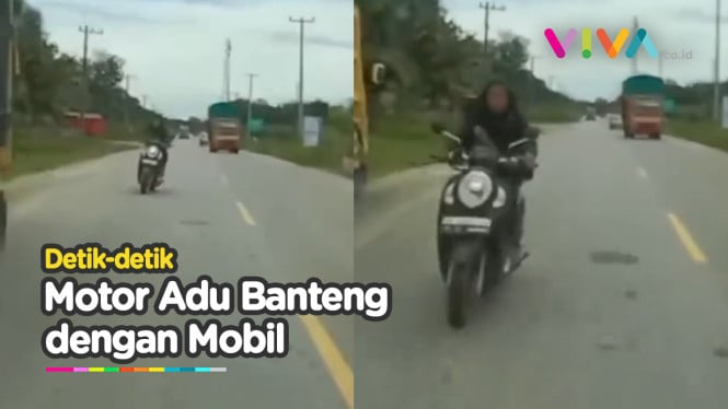 VIDEO Pemotor Vs Grand Max Adu Banteng