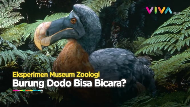 'SAKTI' Burung Dodo yang Bisa Berbicara, Eksperimen AI