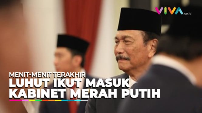 Luhut di Lantik Menjadi Ketua Dewan Ekonomi Nasional