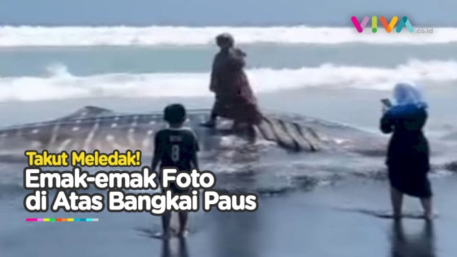 Bahaya! Emak-Emak Asyik Foto Bareng Paus Terdampar