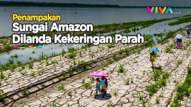 Dunia Dalam Bahaya! Sungai Amazon Mengering, Warga Brasil Me