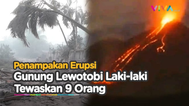 Erupsi Gunung Lewotobi Laki-laki di Flores Timur, 9 Orang Te