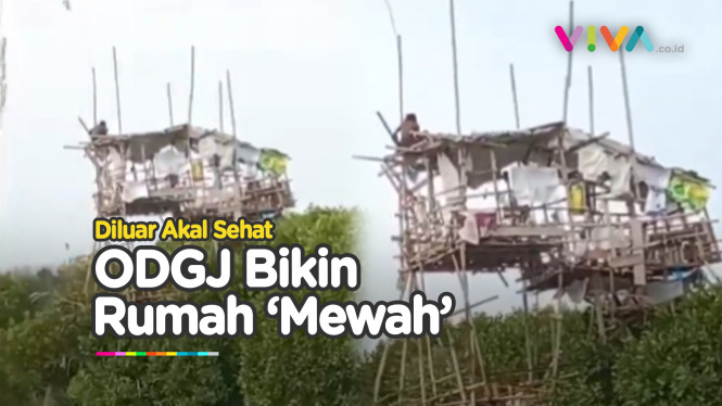 ODGJ Bangun Rumah 2 Lantai dari Kayu Bekas, Endingnya..