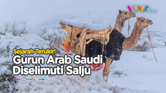 Hujan Salju Selimuti Gurun Al-Jawf di Arab Saudi