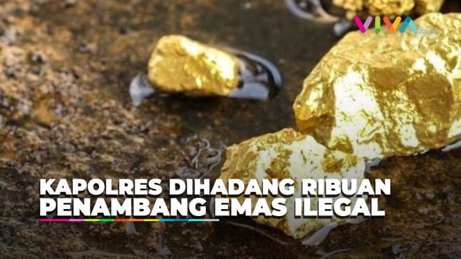 Ratusan Massa Penambang Emas Ilegal Usir Kapolres Bungo