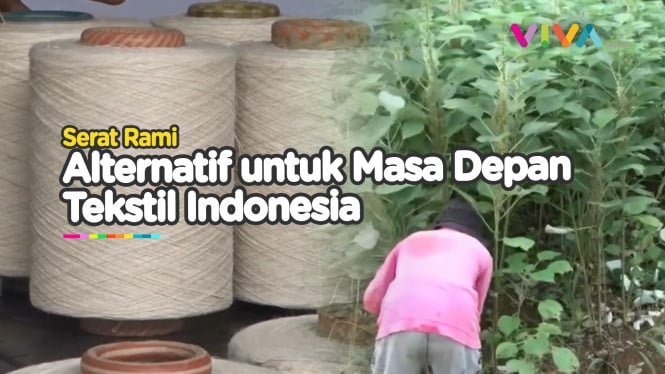 Tanaman Rami, Si Bahan Baku Industri yang 'Mendunia'