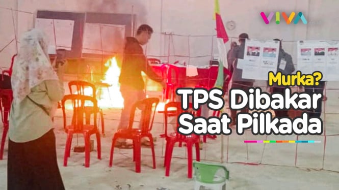 TPS Diacak-acak Hingga Dibakar Saat Pilkada Berlangsung