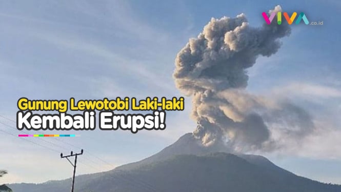 WASPADA! Gunung Lewotobi Laki-Laki Erupsi Lagi