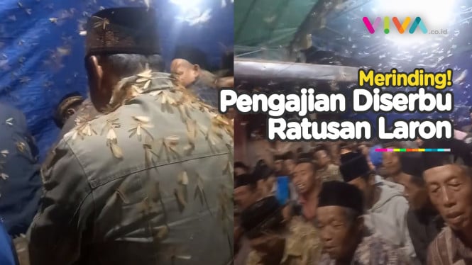 Pengajian Dikerubungi Ratusan Laron, Jemaah Teruskan Ibadah