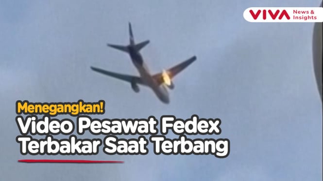 Pesawat Terbakar di Udara Gegara Ditabrak Burung