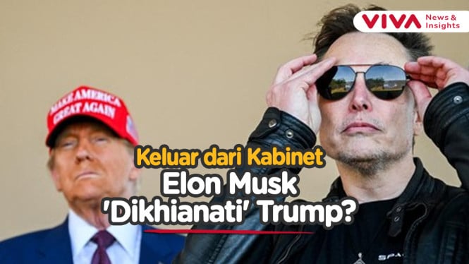 Elon Musk Mundur dari Rezim Trump, Kenapa?