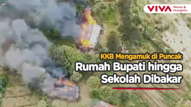 KKB Guncang Puncak Papua! Bakar Rumah Bupati
